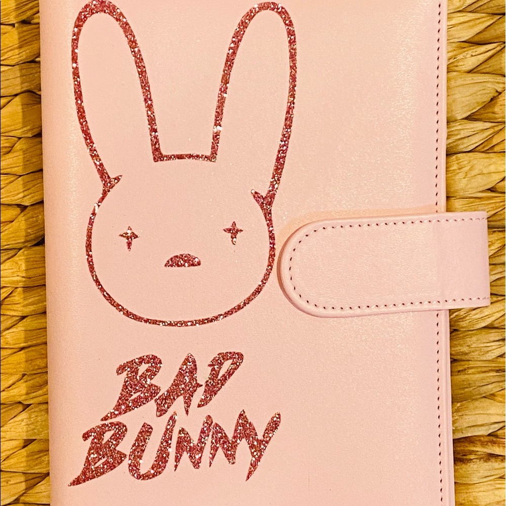 Custom budget binder System A6